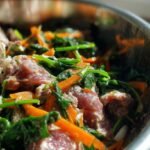 BARF diet for beginners
