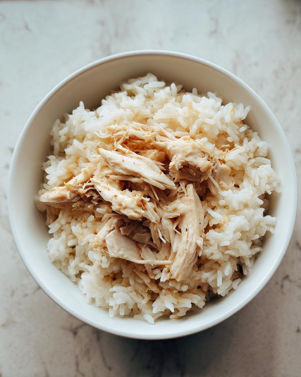 chicken and rice for puppies - detail 1