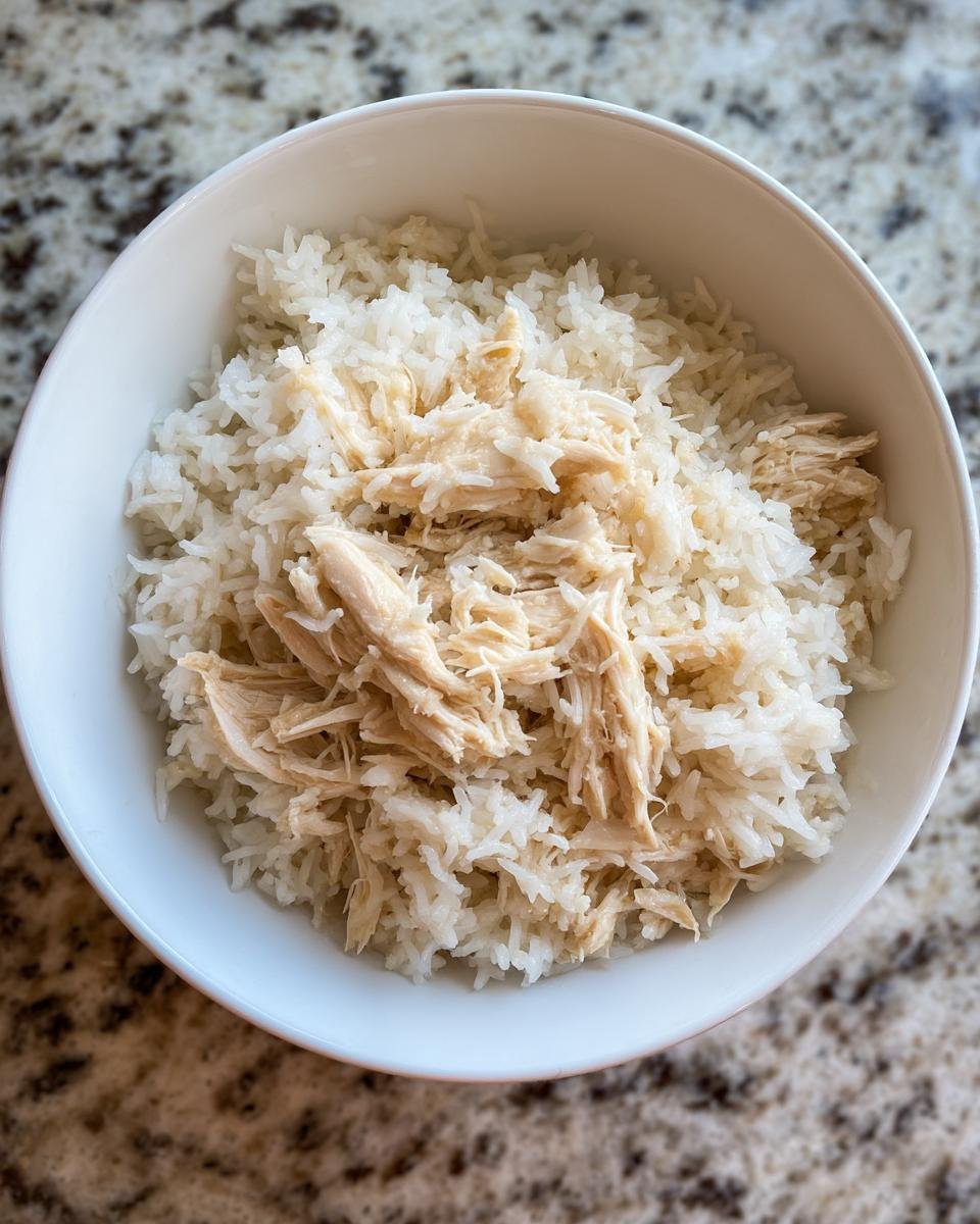 chicken and rice for puppies - detail 3